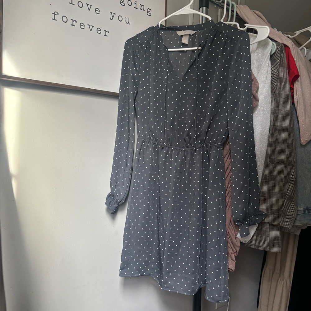 H&M Polka Dot Dress